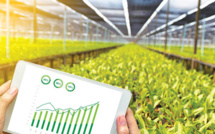 Microsoft : La numérisation de l’Agriculture au service de la sécurité alimentaire africaine