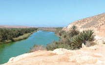 Souss-Massa / Parc national : Espace éco-biologique riche d’atouts touristiques