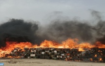 Dakhla : Plus de 2 tonnes de chira incinérées