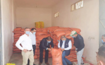 Saïss &amp; Doukkala : Distribution de semences performantes de blé