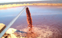 Béni Mellal / Environnement : Du danger du rejet des margines dans les cours d’eau