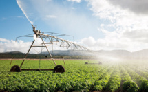 Le Maroc prend part à l'Africa Agri Forum 2020 les 9 et 10 décembre à Yaoundé