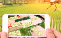 Numérisation : Désormais, l’agriculture se conjugue au digital