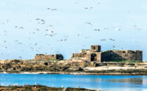 Archipel de Mogador : De la valeur historique et écologique