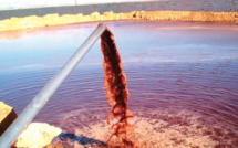 Béni Mellal-Khénifra : Les margines, véritable danger pour l’environnement