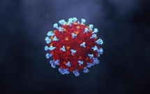 Covid-19 bilan bimensuel : le taux de reproduction du virus se stabilise à 0,88