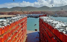 ONP : Sidi Ifni contribue à hauteur de 2,5 pc au chiffre d’affaires des ports du Royaume