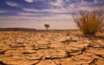 Pénurie d’eau et précipitations irrégulières… la BM dresse un sombre tableau de la situation