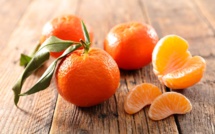 Le Maroc 3ème exportateur mondial de mandarines