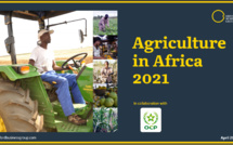 OCP &amp; Oxford Business publient un rapport l’industrie agricole africaine