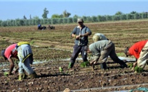 AMO : vers l'inclusion de 1,6 million agriculteurs et leurs familles