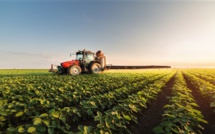 Maroc/Israël : Une conférence de haut niveau à l’ONU, sur la sécurité alimentaire et l'agriculture innovante