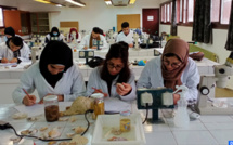 Sciences de la mer et recherche halieutique : Accord de coopération entre la FAO et le Maroc 