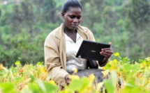 Afrique: Nécessité de multiplier les efforts pour encourager la numérisation