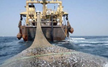 Usage de filets dérivants par la flotte marocaine : le Royaume risque la sanction