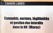 ​Alliance de l’argent et de la culture: Le cannabis, une nouvelle ère industrielle