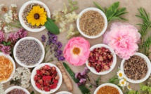 La 3e édition du programme de recherche Valorisation des Plantes Médicinales et Aromatiques lancée