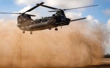 African Lion : Les détails des "mega training" en images