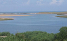 El Jadida: Lagune de Sidi Moussa, une perle à valoriser
