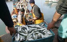 ONP : la valeur des produits commercialisés en hausse de 35% durant le 1er semestre 2021
