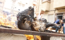 Tanger : les grillades des têtes de moutons interdites dans la rue