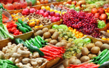  FAO : Vers la promotion de la durabilité du secteur horticole marocain
