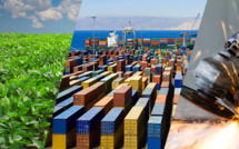 Hausse de l’export, redressement du tourisme et de l’Industrie…le HCP livre ses perspectives pour 2022