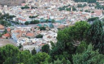 Azrou : «Revive Atlas Cedar»