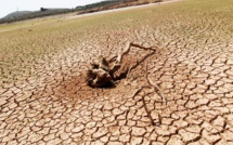 Environnement : lancement du Conseil de la jeunesse arabe pour le changement climatique