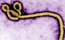 La Côte d’Ivoire touchée par un premier cas confirmé d’Ebola