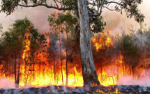 La tristesse ronge les Marocains suite aux flammes de Chefchaouen