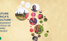 Afrique / Rapport sur les innovations agro-technologiques : Dynamiser le secteur pour offrir des opportunités aux jeunes