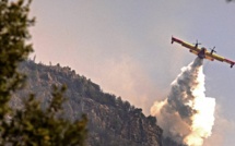 Chefchaouen : Quelque 725 ha de forêt ravagés par le feu, la mobilisation continue