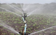 Boujdour : Aménagement hydro-agricole