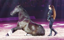 Covid-19: Le Salon du Cheval d'El Jadida annulé
