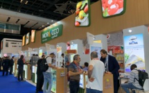 Les produits agricoles et halieutiques marocains à la conquête du marché américains