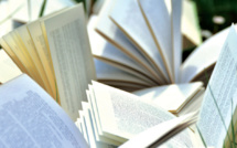 Métier du livre : Une nouvelle fiction, l’édition indépendante