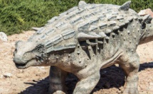 Découverte inédite : le plus ancien ancêtre des ankylosaures se trouverait au Maroc 