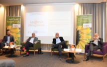 Le Maroc ambitionne de quadrupler sa production d'oléagineux d'ici 2030