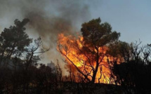 Chtouka-Ait Baha : Déclenchement d'un incendie dans l'Oasis de Targa