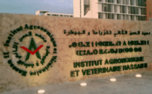 Rabat / IAV : Les étudiants s’opposent au mode distanciel