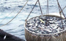 Maroc -UE : L’accord de pêche est une priorité pour l’Espagne