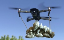 Un nouveau narco-drone neutralisé à Sebta