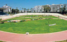 Il était une fois, la course des lévriers..