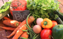L’agriculture bio et organique en plein essor au Maroc