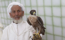 Rapaces : Haro sur le trafic des oiseaux de proie