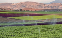 Agriculture : Le gouvernement d’Akhannouch défend le plan « Maroc vert »