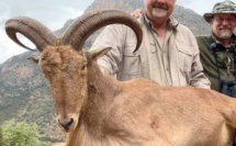 Faune sauvage : La polémique sur la chasse aux trophées s’invite au Maroc