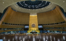 ONU/UE : fort soutien de la communauté internationale à la première cause nationale