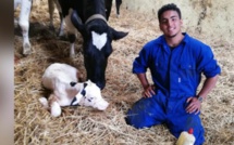 Interview avec Ayoub Louihrani : « Un fermier perçoit 300 dhs par heure aux Pays-Bas  contre 200 dhs par jour au Maroc »